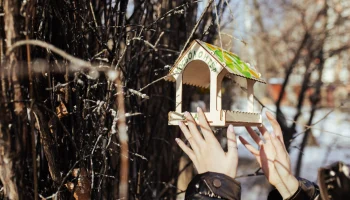 Сергунина: В Москве открыт набор волонтеров &mdash; помощников орнитологов