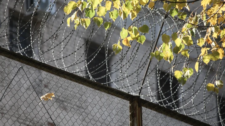 Фигурант дела Долиной участвовал в афере с квартирой после выхода из колонии Фигурант дела Долиной участвовал в афере с квартирой после выхода из колонии