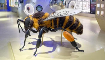 Первая в России публичная энтомологическая лаборатория открылась в &laquo;Биокластере&raquo;