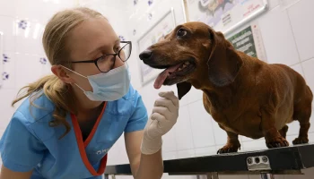 День парламентаризма РФ и Международный день ветврача: какие праздники отмечают в России и мире 27 а