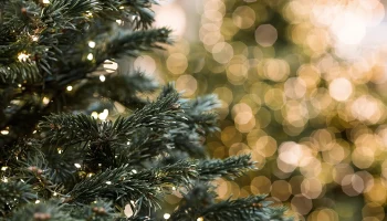 Фестиваль &laquo;Усадьбы Москвы&raquo; подготовил зимние маршруты по историческим особнякам