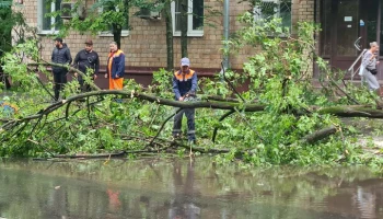 Два человека погибли в результате урагана в Москве