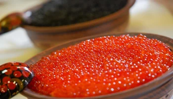 Россиянам перечислили признаки качественной красной икры