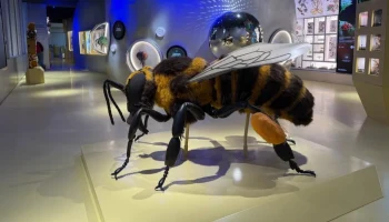 Москвичей пригласили посетить энтомологическую лабораторию в &laquo;Биокластере&raquo;