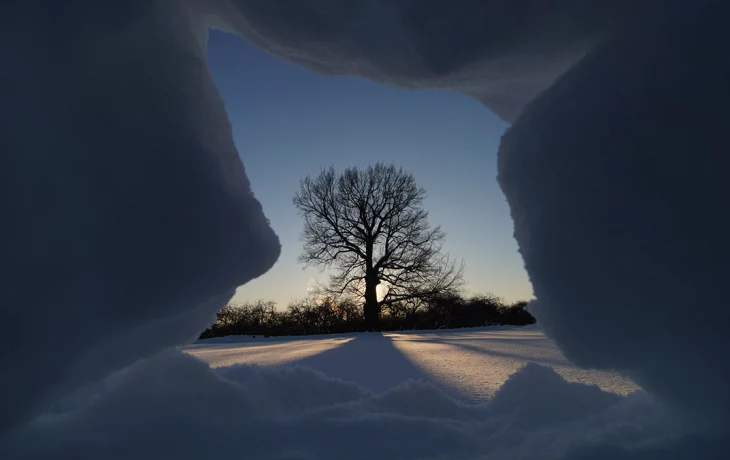 Вильфанд предупредил о возвращении морозов в столичный регион на грядущей неделе Вильфанд предупредил о возвращении морозов в столичный регион на грядущей неделе