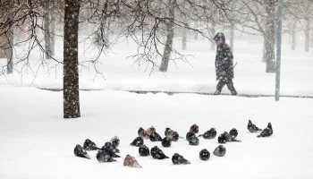 Синоптики сообщили об облачной погоде со снегом в Москве 19 февраля