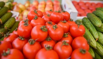Цены на социально значимые товары снизились в регионах РФ
