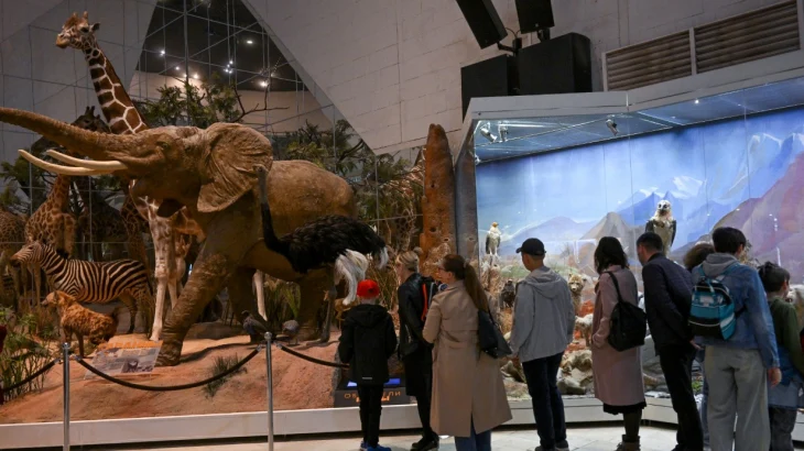 От концертов до лекций: подборка самых интересных событий в Москве на праздничных выходных