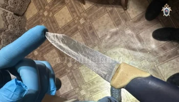 Женщина зарезала знакомого в квартире в центре Москвы