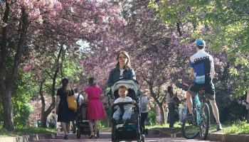 &laquo;На декаду раньше&raquo;: синоптики сообщили о приходе по-летнему теплой погоды в Москву&nbsp;