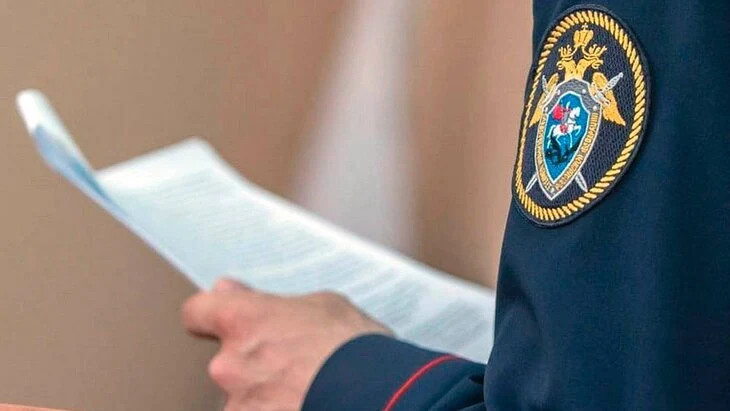 СК возбудил дело после нападения ротвейлера на мать с ребенком в Екатеринбурге СК возбудил дело после нападения ротвейлера на мать с ребенком в Екатеринбурге