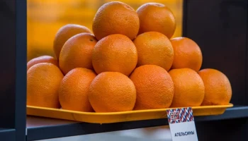 Цены на апельсины в мире упали до рекордного минимума с лета 2022 года