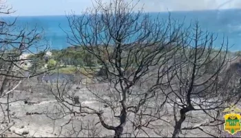 Огонь от пожара под Новороссийском перекинулся на базы отдыха