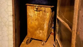 Омбудсмен Мишонова: найденный в мусорном баке младенец в Орехово-Зуеве не пострадал