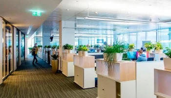 Помещение для бизнеса выставлено на торги в Солнцеве