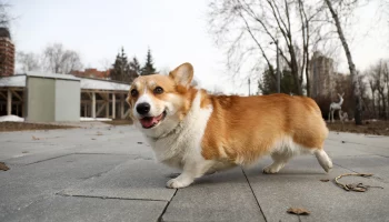 Рекорд тепла 16-летней давности может обновиться в Москве 10 апреля