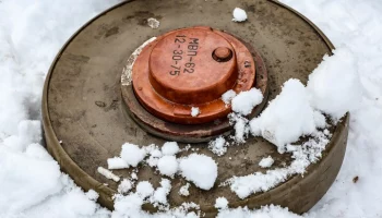 Житель Брянской области погиб после подрыва на мине