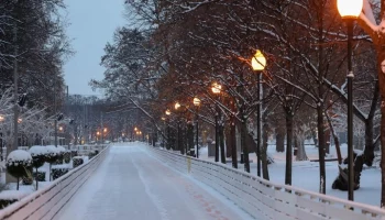 Каток в Парке Горького откроется 29 ноября