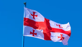 Митингующие в Тбилиси завершили шествие символическим кругом у парламента