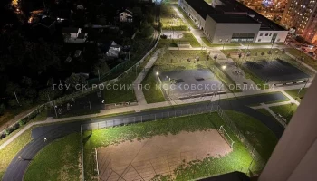 Подмосковная полиция задержала выстрелившего в школьника мужчину