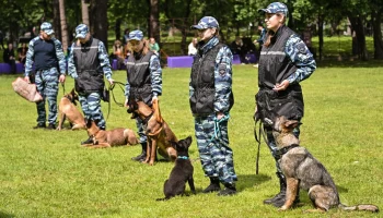 Столица отмечает День кинолога вместе с проектом &laquo;Питомцы в Москве&raquo;