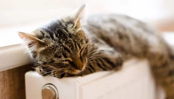 Стало известно, когда в Москве начнут отключать отопление