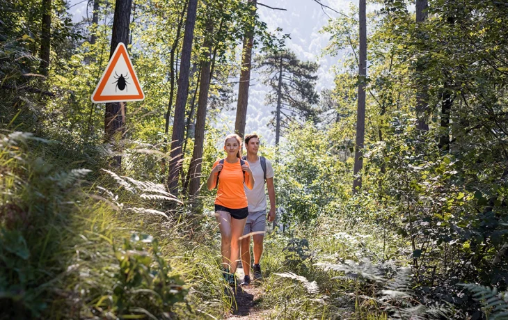 Не пытайтесь их топить: что делать, если укусил клещ Не пытайтесь их топить: что делать, если укусил клещ