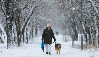 Синоптики сообщили о снежной погоде в Москве 27 декабря