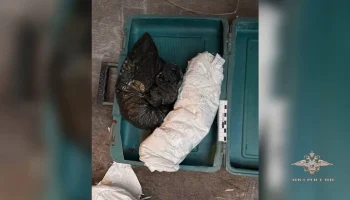 Двое красноярцев задержаны за кражу золотосодержащего концентрата на 434 млн руб