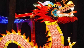 &laquo;Вселенная BRICS&raquo; и День Востока: куда сходить в Москве на выходных