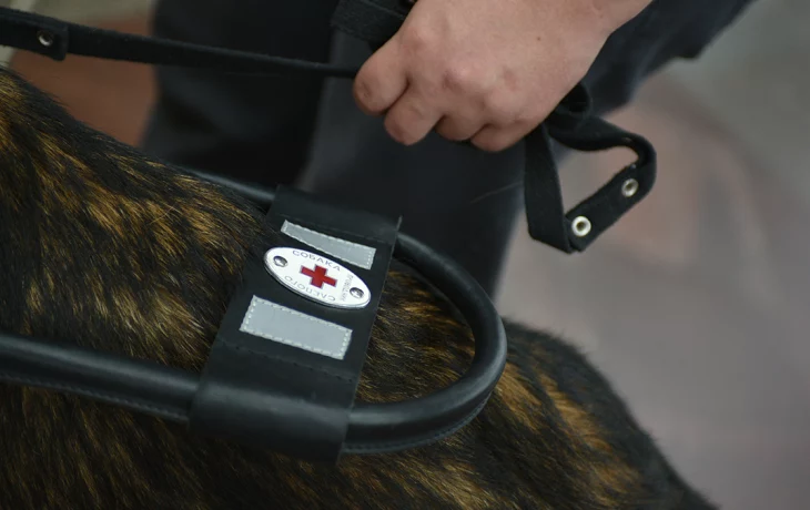 Более 300 собак-проводников подготовили в Москве для маломобильных пассажиров метро Более 300 собак-проводников подготовили в Москве для маломобильных пассажиров метро