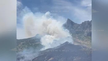 Полиция установила виновника природного пожара в поселке Коктебеле