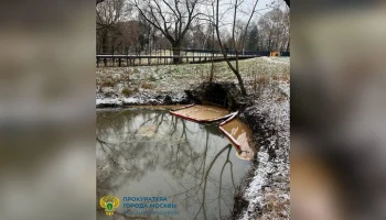 Прокуратура начала проверку после загрязнения Яузы