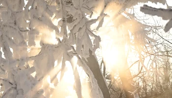 Январь в Москве занял третье место в списке самых влажных в XXI веке