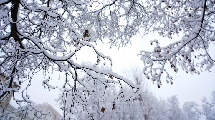 Синоптики сообщили об облачной погоде со снегом в Москве 14 января Синоптики сообщили об облачной погоде со снегом в Москве 14 января