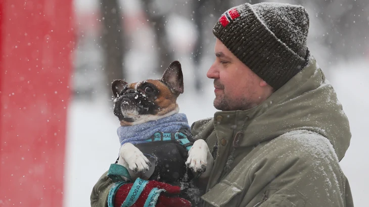 Синоптики предупредили москвичей о морозной и снежной погоде 1 февраля Синоптики предупредили москвичей о морозной и снежной погоде 1 февраля