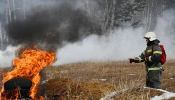 В Забайкалье пожарные локализовали пять лесных пожаров на площади 83 тысячи гектаров