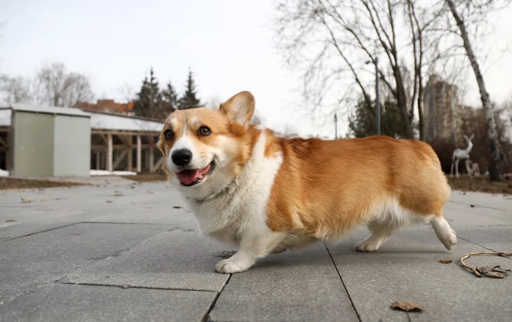 Синоптик Позднякова рассказала о погоде в Москве на выходных Синоптик Позднякова рассказала о погоде в Москве на выходных