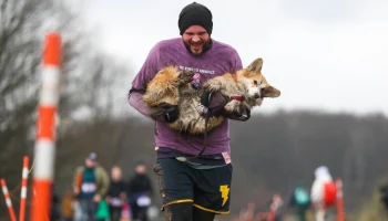 Кросс «Быстрый пес» прошел 11 апреля в Битцевском лесу Кросс «Быстрый пес» прошел 11 апреля в Битцевском лесу