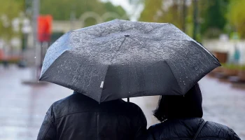 Москвичей предупредили о грозе и сильном ветре 14 июня