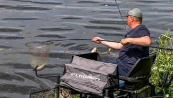 В Росрыболовстве назвали высокой вероятность продления запрета на вылов воблы