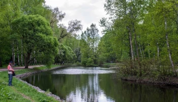 В парке "Сокольники" началась реабилитация пяти Оленьих прудов