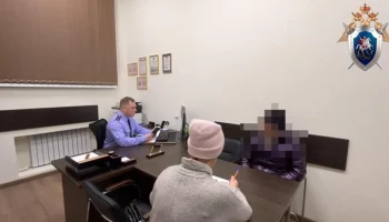 Омбудсмен: семья оставленного на снегу ребенка в Нижнем Новгороде на учете не стояла