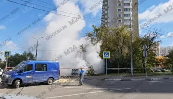 Минздрав Подмосковья: пострадавший в Химках находится в состоянии средней тяжести