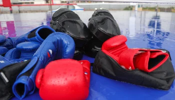 Российские борцы одержали победу над сборной США в матчевой встрече в Будапеште