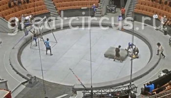 Запашный: акробат упал в Большом Московском цирке из-за ошибки пассировщика