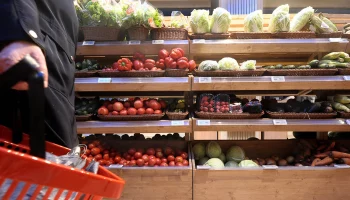 Студент МАИ создал сервис по продаже продуктов с истекающим сроком годности