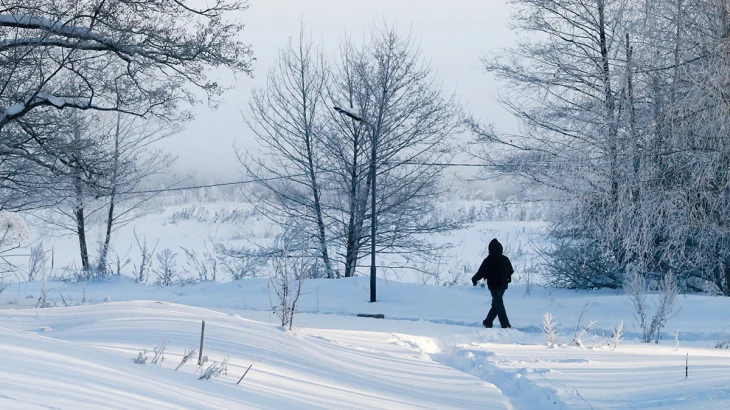 Синоптики сообщили о морозной и ветреной погоде в Москве 8 февраля