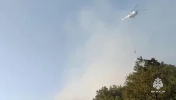 Площадь лесного пожара в районе хутора Дюрсо выросла до 47 гектаров