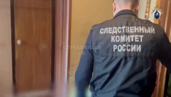 Адвокат Арановский: подозреваемой в убийстве отца школьнице грозит до 10 лет колонии